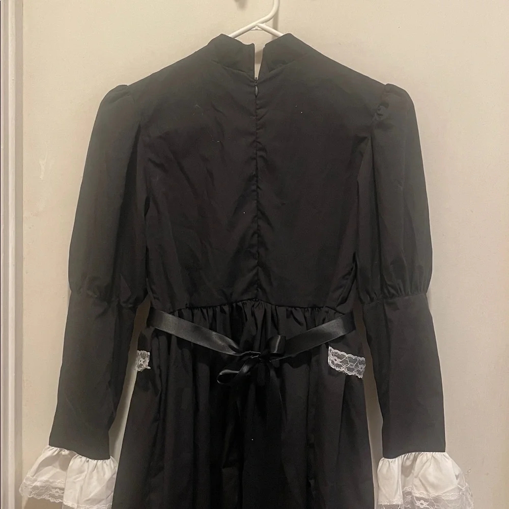 Susan B Anthony costume